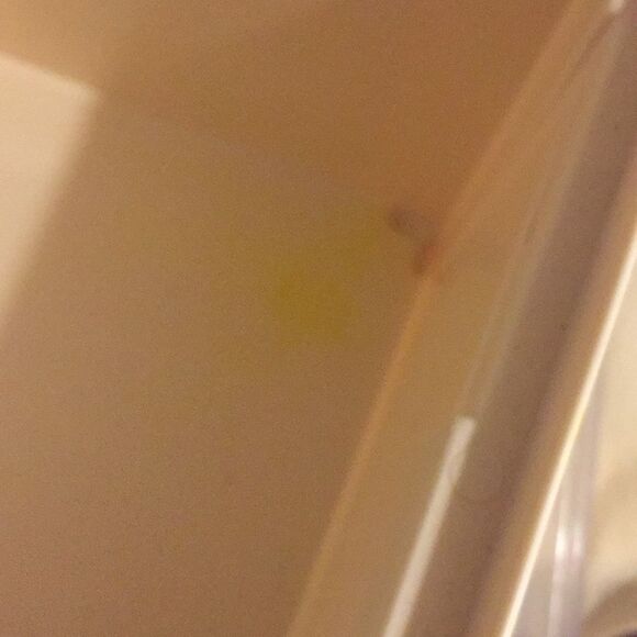 Wilton Decorating Tool Caddy - Picture 8 of 12